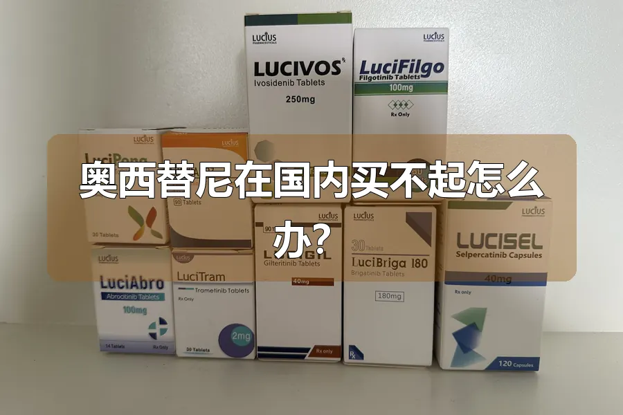 奥西替尼在国内买不起怎么办？